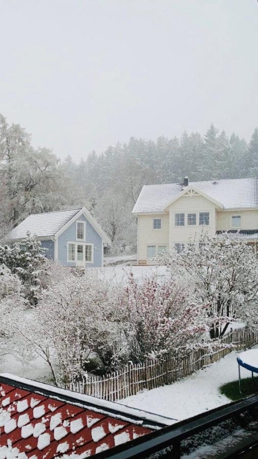 Haus Madita 布莱特瑙 外观 照片